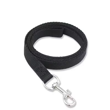 Classic - Leash