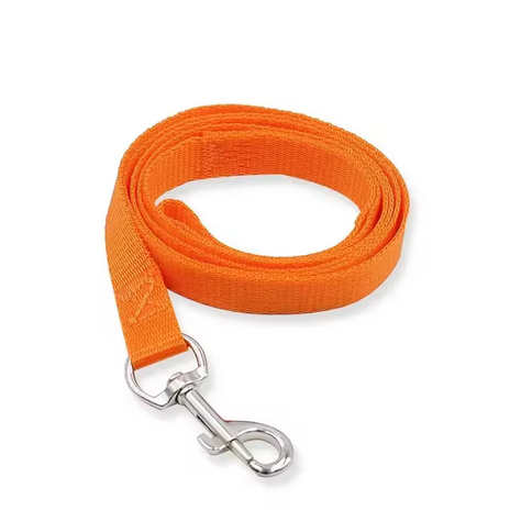 Classic - Leash