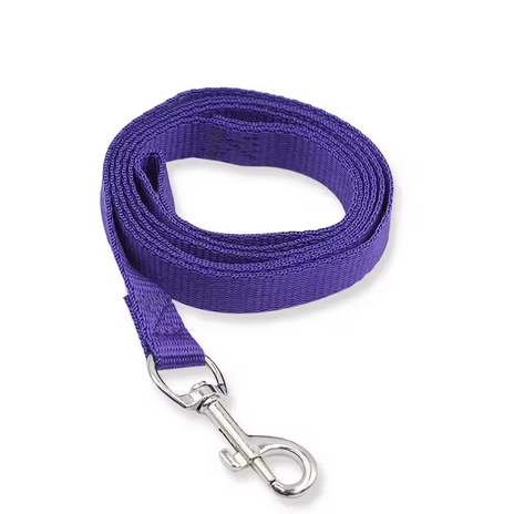 Classic - Leash