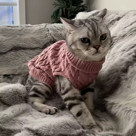 Classic Knit - Pawllover